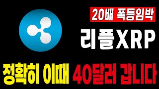 [리플 전망] 리플 정확히 이때 40달러 갑니다 #긴급속보 #리플 #XRP #SEC #리플소송 #코인헌터스 #갈링하우스 #RLUSD #리플스테이블코인