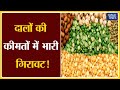 दालों की कीमतों में भारी गिरावट ! Market Times TV  #chana #daal #pulses #arhar #moong #urad #masoor