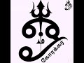 இந்த வேரை உங்களுடன் வைத்துகொண்டால் பணப்பிரச்சனை அனைத்தும் தீரும்