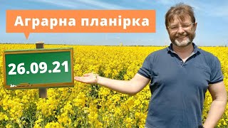 26.09.21 Коротко , але ємно: про збирання, посівну, виставку і догляд за технікою | Аграрна планірка