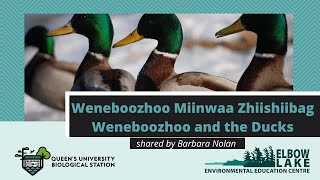 Weneboozhoo Miinwaa Zhiishiibag (with Anishinaabemowin subtitles), shared by Barbara Nolan