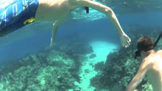 Diving with Barracudas in the Florida Keys