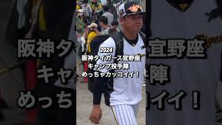 2024阪神タイガース春季宜野座キャンプ投手陣#阪神タイガース#阪神タイガース春季宜野座キャンプ#宜野座