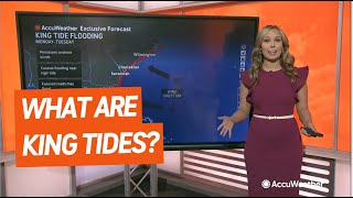 What Are King Tides and Why Are They So High?