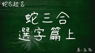 P604 蛇B起名｜三合選字上｜蓁子巴講姓名學