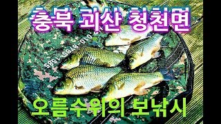 오름수위의 보낚시 붕어는 나오기 시작하는데 유속이 변수가 되었네요