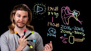 The Best Hearing on Earth | Because Science Live