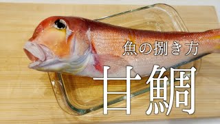 【食材の処理】鱗を剥がさない甘鯛の捌き方！