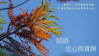 靈修:話語-忠心與賞賜 20250217