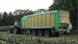 2. og bedste dag af majshøsten på Nygaard i 2011! MUST SEE CORN  HARVEST!