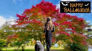 【森の暮らし】60代vlog ｜ 若返り魔法のレシピ入りまったりホクホクかぼちゃのミルクスープ｜招待状💌癒し🌿ほっこり森のハロウィンパーティー＆イベント🎃🌳 ｜#101