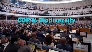 INSIDE | COP16 Biodiversity