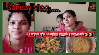 Sunday VLOG | Fullday Routine | ஞாயிற்றுக்கிழமை வேலைகள் | Easy Traditional Duck Curry and Duck Roast