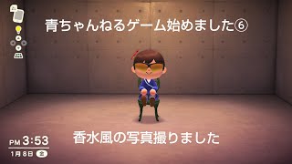 【ゲーム始めました⑥】あつ森順調に開拓中