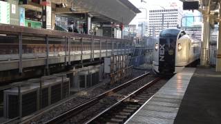 特急 マリンエクスプレス踊り子 75号 E259系 東京駅に入線