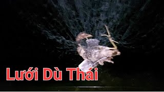 Lưới Dù Thái Mắt Ngang-Lưới Dù 8 Phân Chiều Cao Mắt Ngang Chiều Cao 100 Mắt