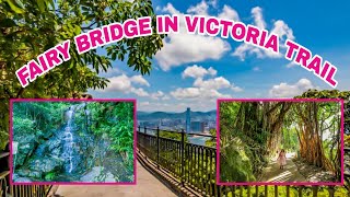 THE VICTORIA PEAK CIRCLE WALK IN HONGKONG | HOW TO GO THERE SEE DESCRIPTION BELOW | PART 2