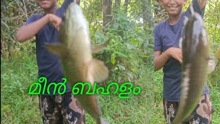 മീൻ തുള്ളി ചാടുന്ന കണ്ടിട്ടുണ്ടോ ❤️Kerala poll rod fishing