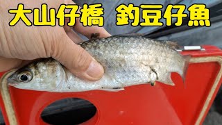 大山仔橋自製保麗龍浮標釣豆仔魚（第454部）fishingvideosonyoutube  fishingintaiwan  Taiwanfishingvideo