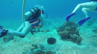 Beginner Scuba - Cozumel, Mexico: Carnival Cruise Line Excursions