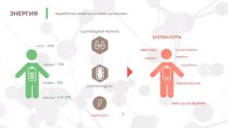Откуда берется хроническая усталость. Ключевое про энергию.