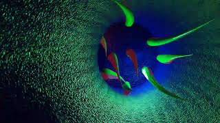 KELVIN_SHOLAR_LEIKGEF_(CHRIS_SHOLAR_REMIX)_ANIMATION