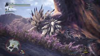 【MHW Beta】ネルギガンテ片手剣ソロ　6'29\