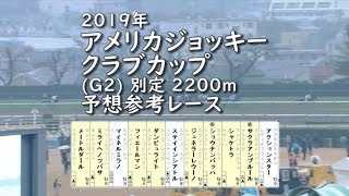 2019年 アメリカジョッキークラブカップ(Ｇ2) 別定 2200m 予想参考レース