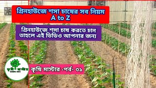 গ্রিনহাউজে শসা চাষের A to Z–| কিভাবে গ্রিনহাউজে শসা চাষ করে Cucumber Cultivation-কৃষি মাস্টার পর্ব৩১