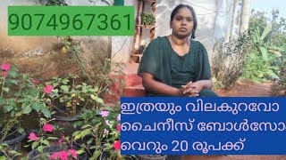 ഇത്രയും വിലകുറവോ .ചൈനീസ് ബോൾസം വെറും 20 രൂപക്ക്