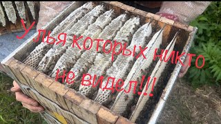 Интересные системы ульев! Которых нет в интернете !!!😎