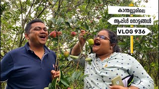 Vlog 936 - കാന്തല്ലൂരിലെ ആപ്പിൾ തോട്ടങ്ങൾ, Apple Farms of Kanthalloor