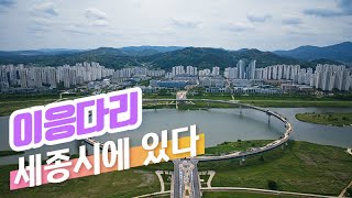 [4K 드론 영상] 세종 금강보행교(이응다리) - 푸른 금강 위의 아름다운 다리