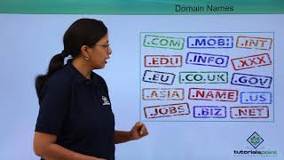 Accessing The Web - Domain Names