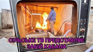 ЗАБІЙ КАБАНА У СТИЛІ 90-х🐖🪓 РЕТРО ТЕЛЕБАЧЕННЯ 🖥📡🎞  МТЗ 80 З ТОТАЛУ ДО ІДЕАЛУ СВОЇМИ РУКАМИ 🚜🙌🇺🇦‼️