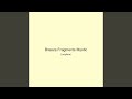 Breeze Fragments Mystic