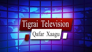 Qafar Xaagu 11/11/2014   | Live Streaming TIGRAI TELEVISION |