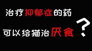 给人治疗抑郁症的药，可以给猫咪治疗厌食症？