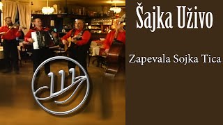 Orkestar Šajka - Zapevala sojka tica  (Official Video)