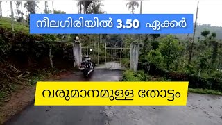 3.50 Acre തോട്ടം Tea Coffee Areca Estate For Sale | Nilgiris | Tamil Nadu (80 Lakh)