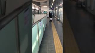 電車　日暮里舎人ライナー