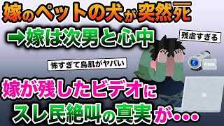 【2ch 修羅場スレ】嫁のペットの犬が〇んだ。俺「寿命だったんだよ」嫁「違うの！」→スレ民絶叫の真実が明らかに…【伝説スレ】【ゆっくり解説】【2ちゃんねる】【2ch】