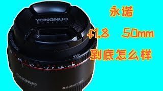 What about a $50 Yongnuo 50 mm large aperture lens?