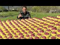 I Cooked 100 Meatballs For The Whole Village! Rural Life in the Mountains of Azerbaijan