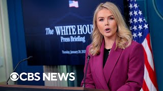 White House takes questions with investigation into D.C. plane crash progressing | full video