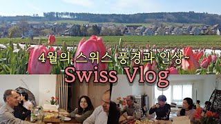 스위스 일상과 산책로 탐험/4월브이로그, 손님초대, 부활절 산책, Exploring Swiss trails/April Vlogs