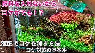 水草水槽のコケ対策 基本④「液肥でコケを消す方法」～How to Control and Remove Aquarium Algae 水草水槽ノウハウ