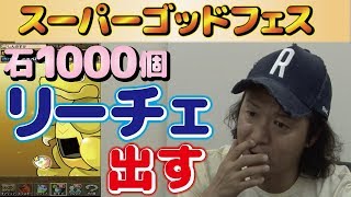 【パズドラ】リーチェ出るまで終われない【スーパーゴッドフェス】