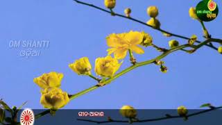 Brahmakumari odia song