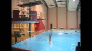 Splashdiving High-Diving Turmspringen Training Sampler 2010 triple Backflip quadruple